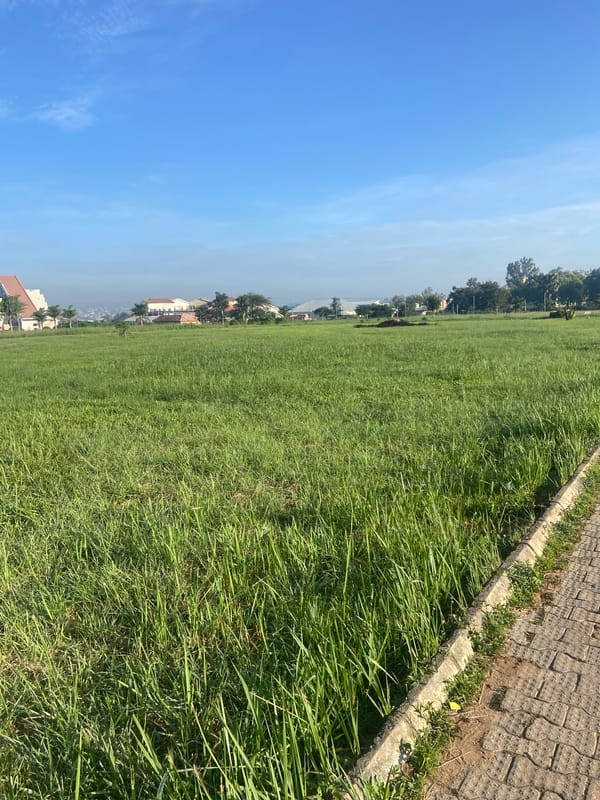 Morning walkthrough of University of Jos campus