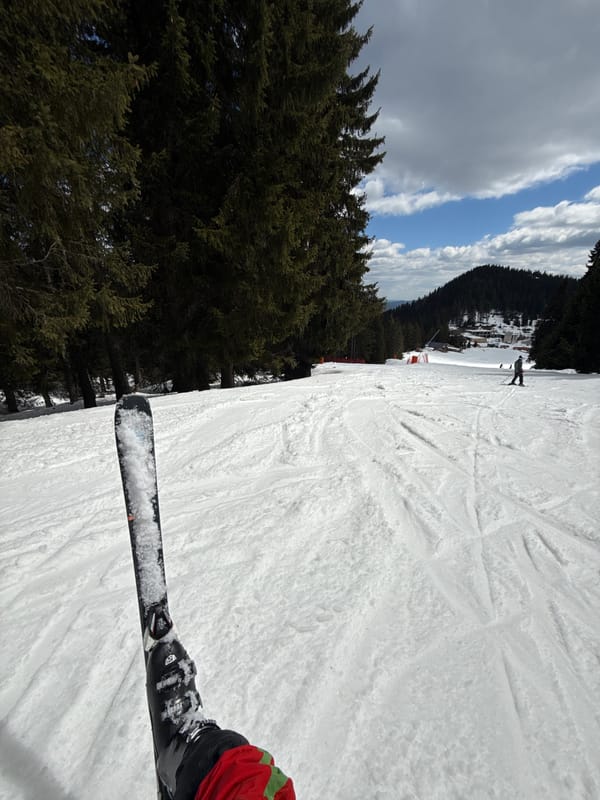 Skier enjoys slopes in Smolyan, Bulgaria