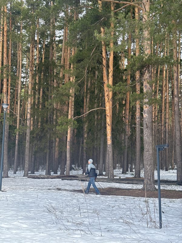 Winter park activities captured in snowy Votkinsk, Russia