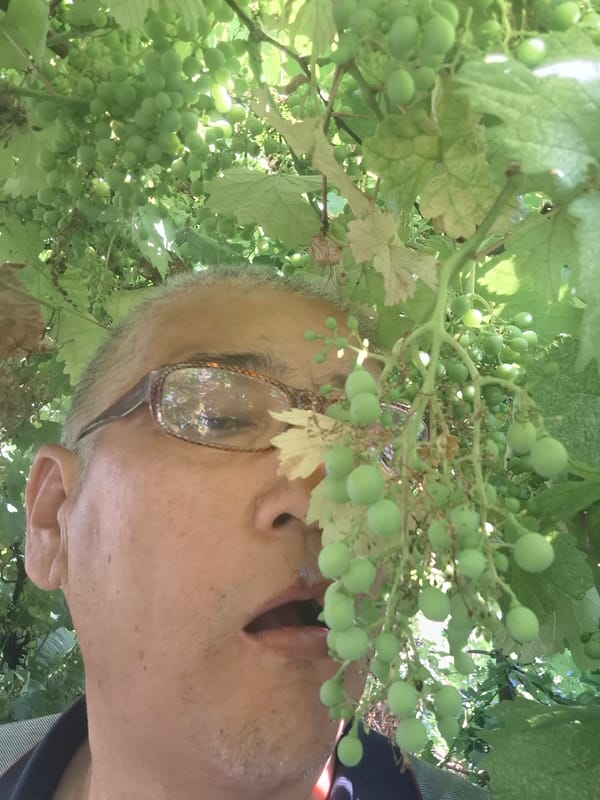 Morning stroll through a green Almaty garden with a warm greeting