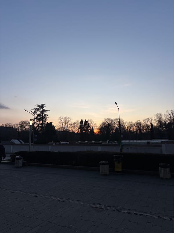 Evening moments captured in Varna: sunset, flowers, personal items