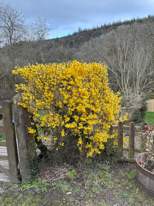 Spring countryside scenes documented in Shelve, UK