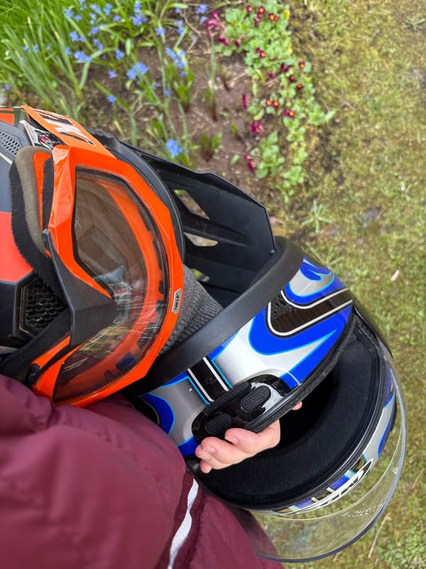 Spring morning activities captured across Leningrad Oblast households