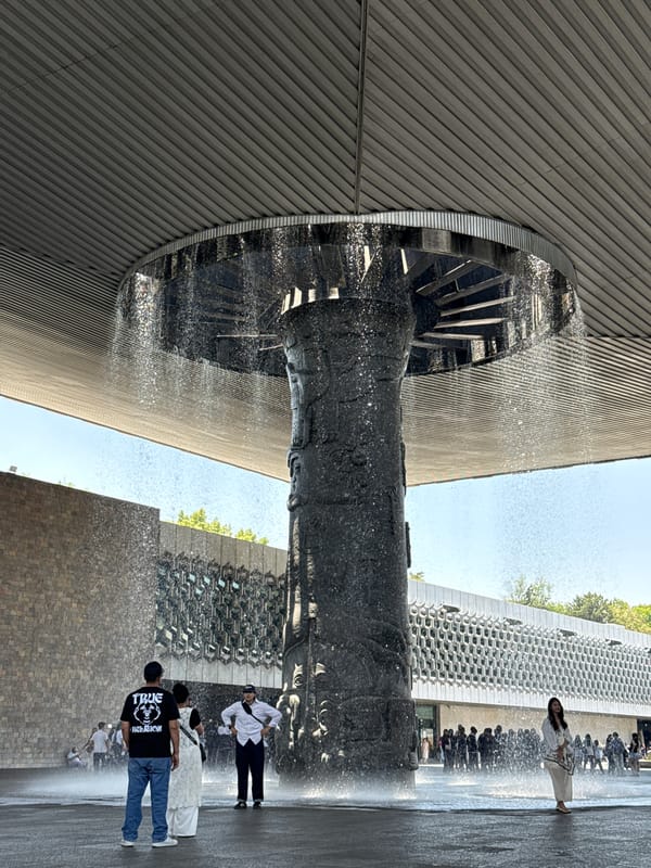 Tourist documents Mexico City museum visit and urban sights