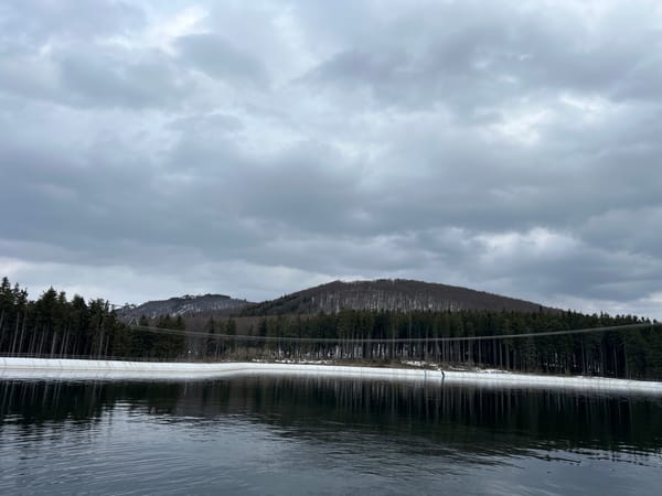 Calm lake scene documented amid forested hills, cloudy skies