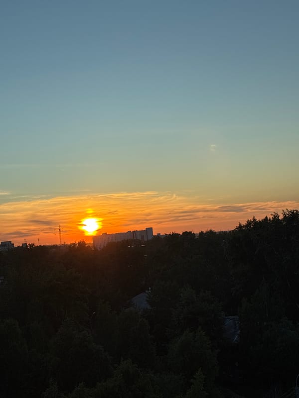 Sunset cityscapes and rose bouquets captured across three-hour span