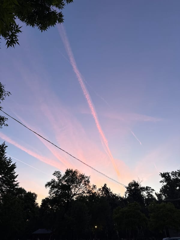 Pink contrails observed in Belgrade dusk sky
