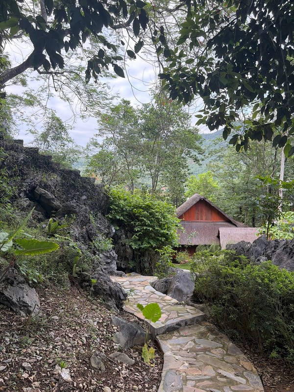 Rural mountain dwellings and landscapes documented in Luong Son