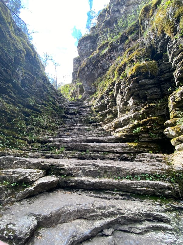 Moss-covered rock overhang photographed in Alekseevka, Russia