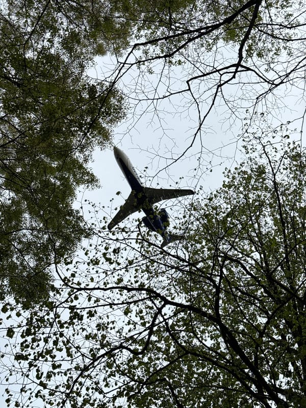 Leisurely park walk documented in Sirius, Russia nature area