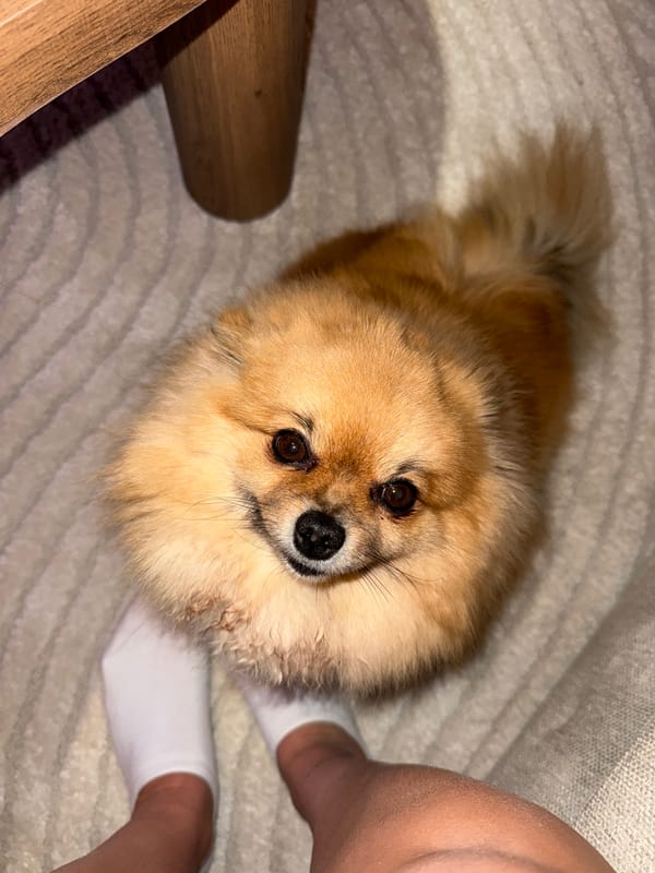 Woman documents quiet evening at home in Cannes apartment