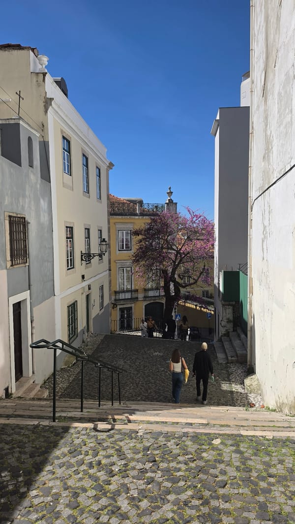 Lisbon architectural tour captures historic streets, buildings, street art