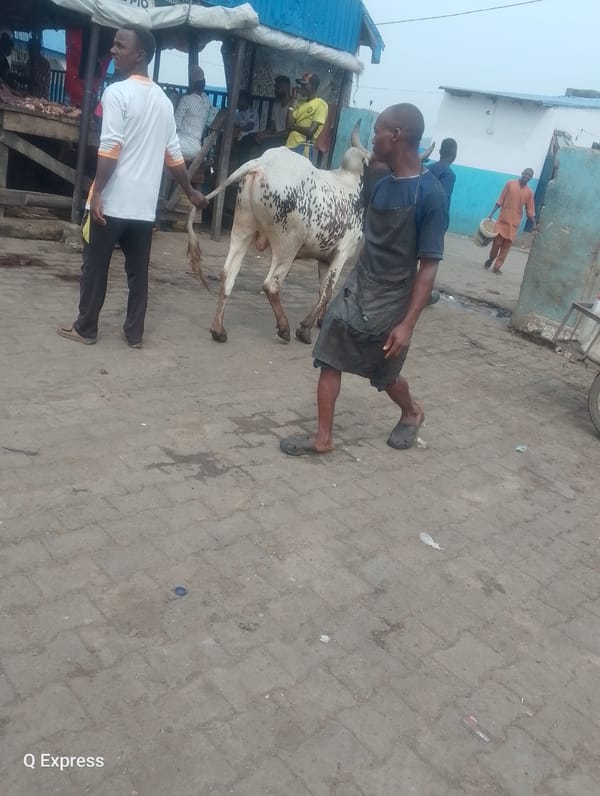 Routine meat market operations documented in Sabojibi, Nigeria