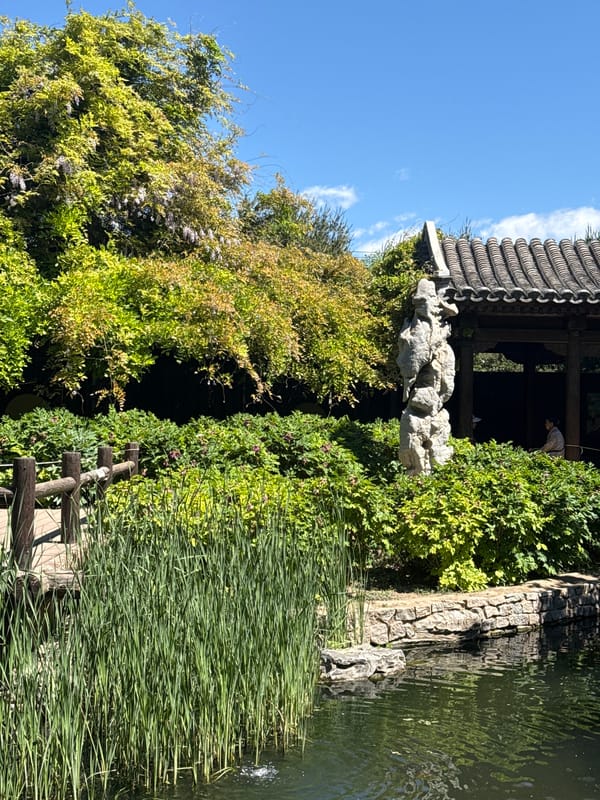 Early morning birdwatcher enjoys spring blooms at Beijing's Beihai Park