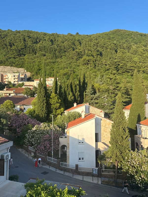 Afternoon snapshots capture quiet moments with cat in Budva