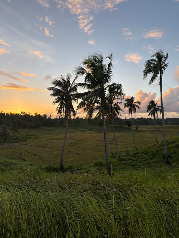 Morning rural life documented in General Luna, Philippines