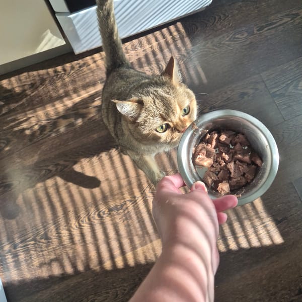 Early morning domestic routine documented in Kemerovo apartment