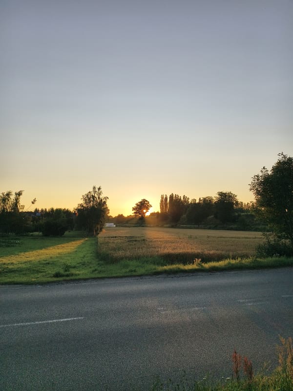 Late-night summer stroll through Tczew's streets and greenery