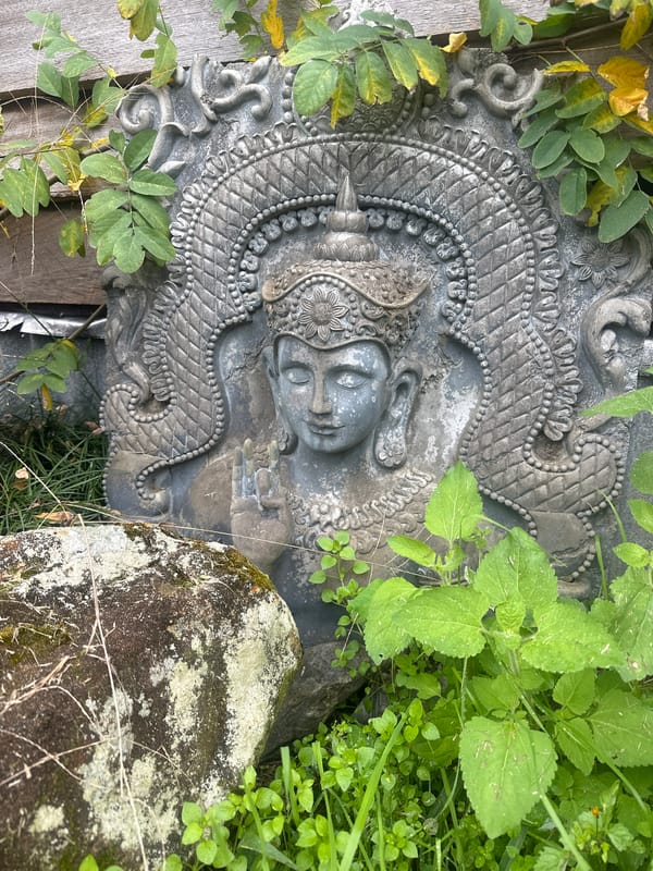 Quiet morning at a rural Thora property with an eclectic spiritual vibe