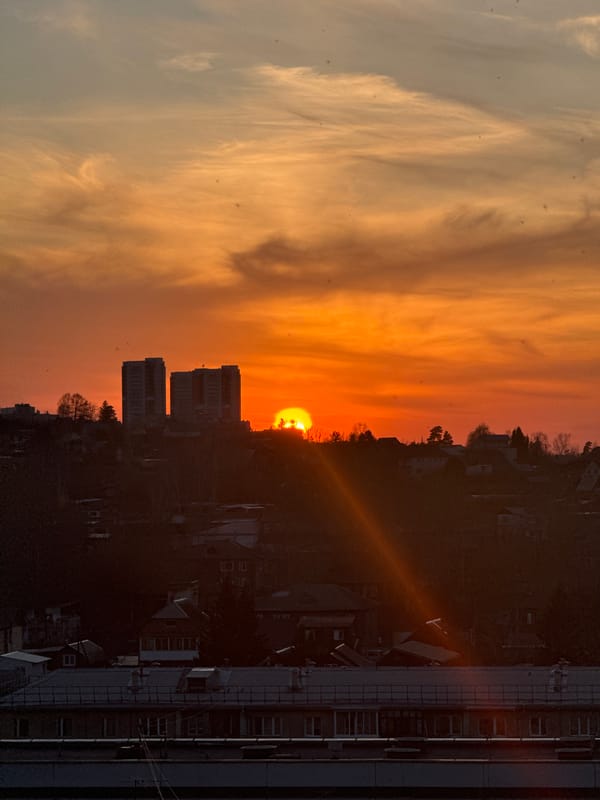 Sunset and pet hamster captured in Krasnoyarsk afternoon