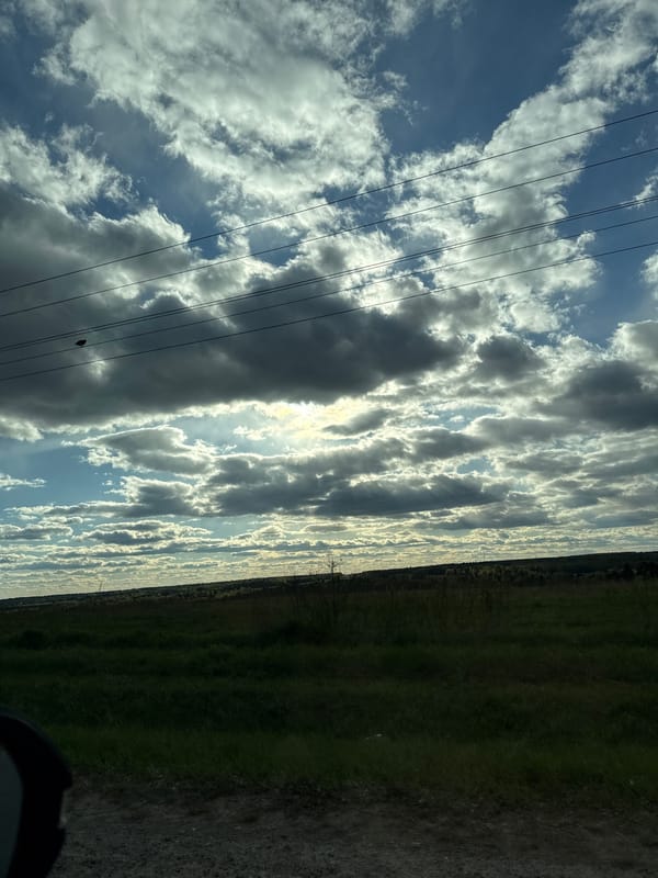 Partly cloudy skies observed over rural Пихтовка, Russia