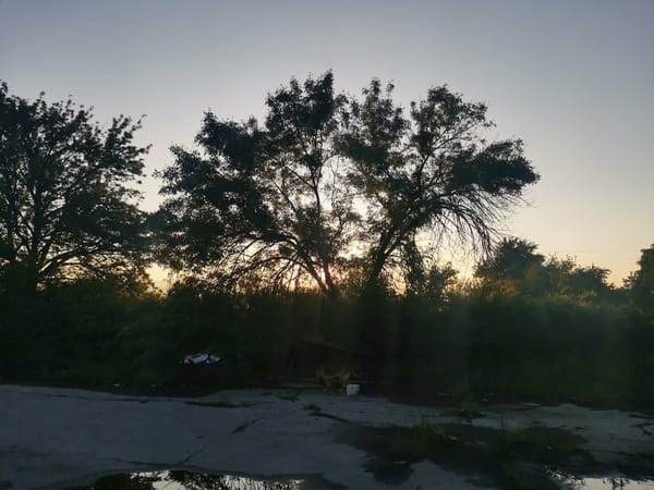 Dawn breaks over abandoned industrial site in Zhivkovo, Bulgaria