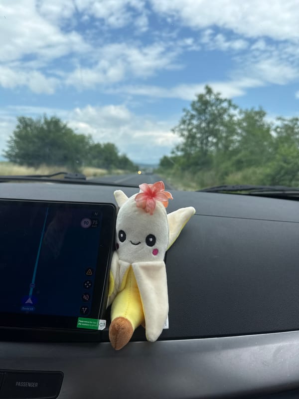 Toy rabbit spotted on car navigation system in Bulgaria