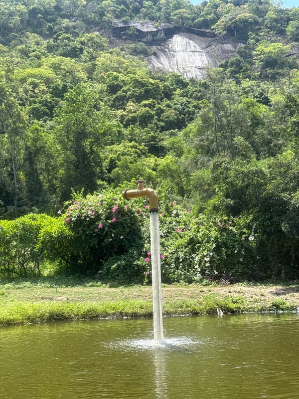 Animals and ornamental ponds at a Hoa Thang wildlife park