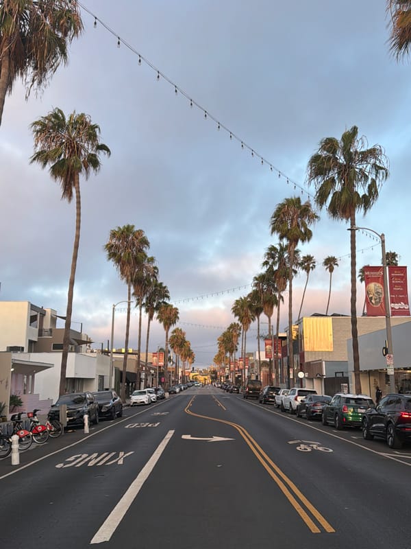 Palm-lined LA street in soft evening light