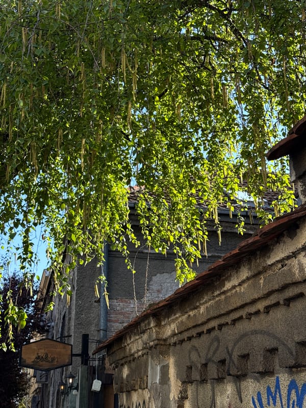 Morning street views captured in Belgrade showing older architecture