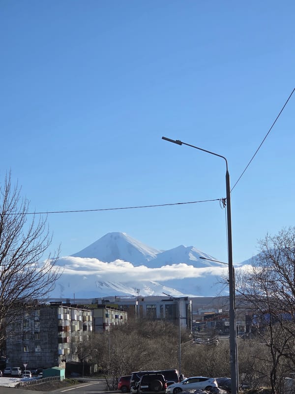 Coastal city with ships and snow-capped mountains documented