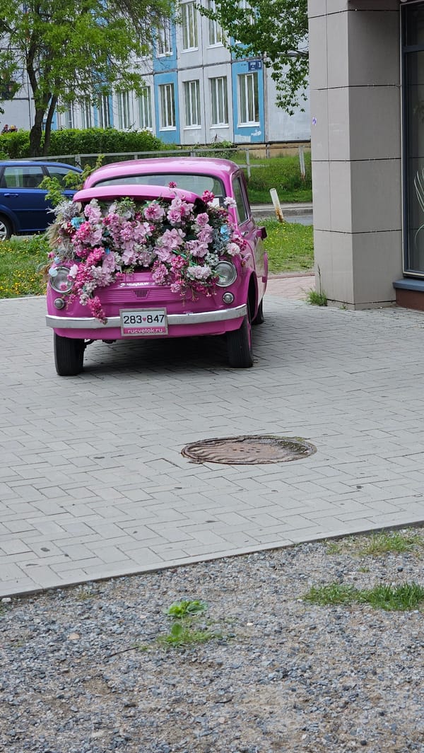 Decorated vehicles spotted in urban park setting Friday afternoon