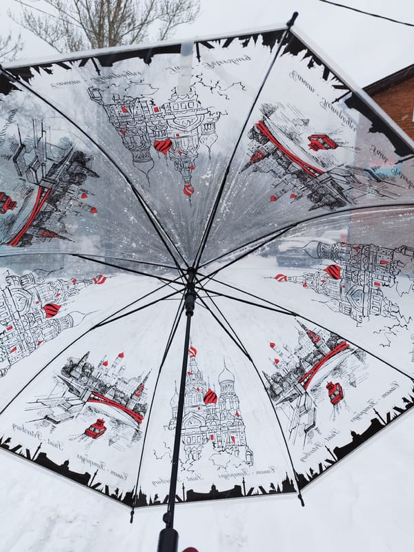 Winter walk documented in Izhevsk shows birds, umbrella, snowy streets