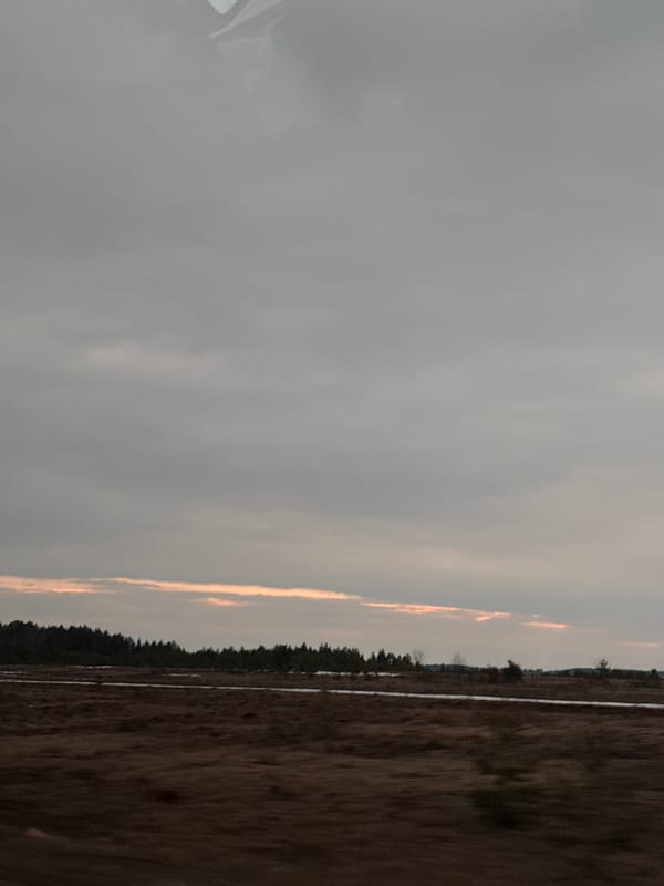 Gray afternoon landscape documented near Povarёnki, Russia