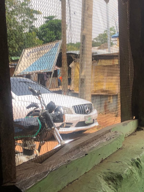 Urban street scenes captured through security fencing