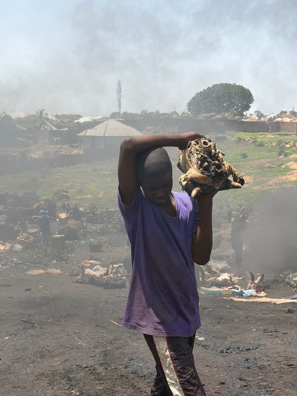 Animal processing and burning activities documented in Jos, Nigeria