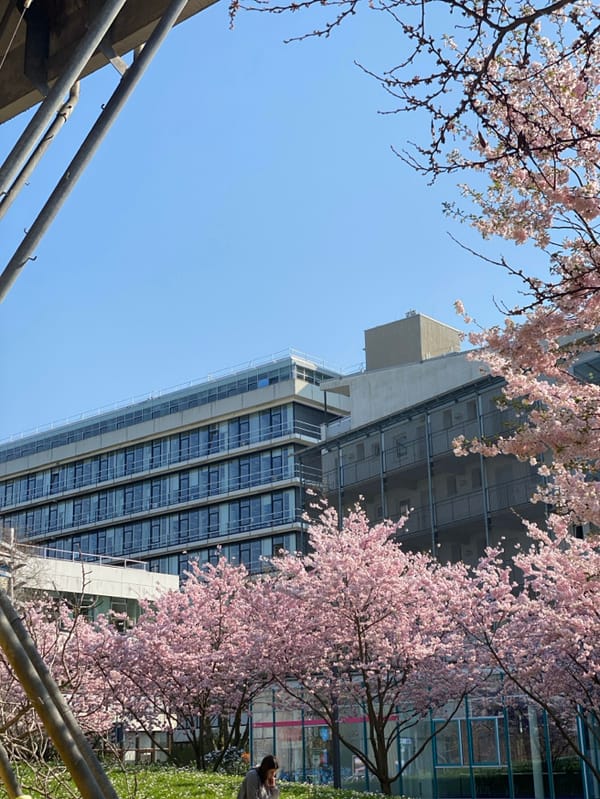 Clear spring day observed at Heidelberg University campus