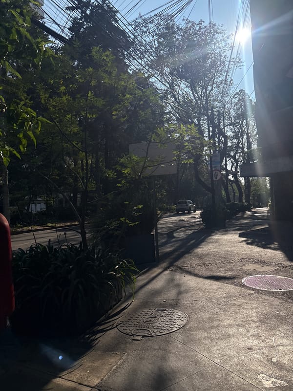 Jogger spotted on flower-lined Mexico City sidewalk Monday afternoon