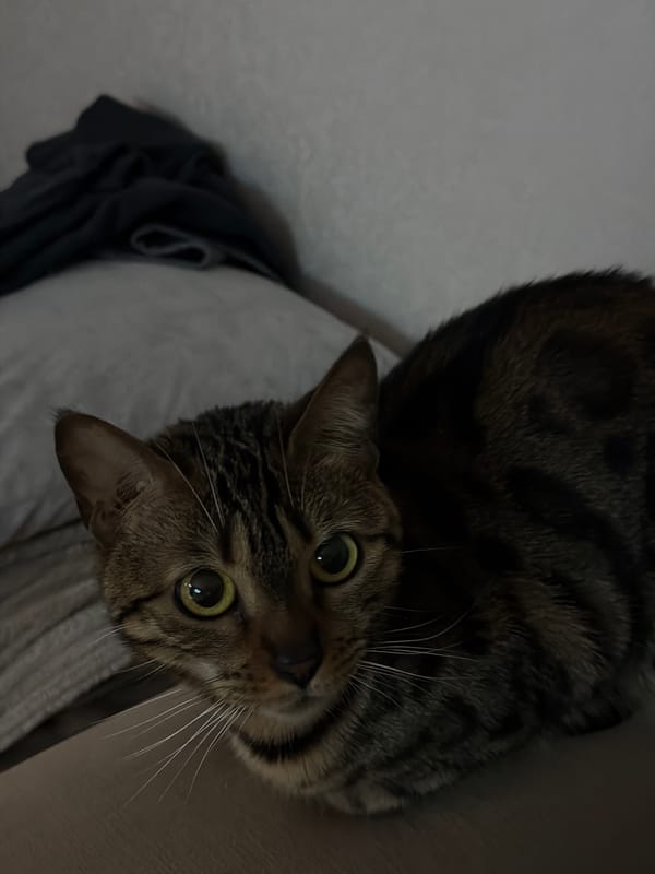 Quiet family moments documented in Russian home