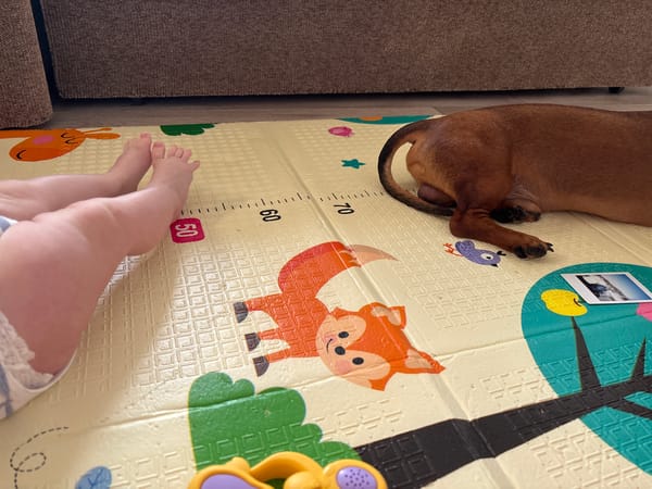 Parent and baby playtime captured in Russian home