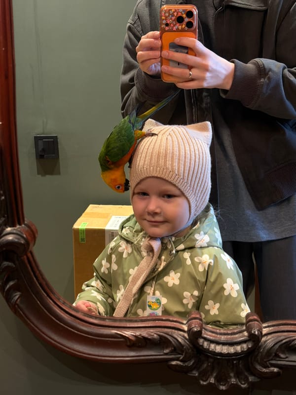 Family life with pet sun conure parrot in Khimki