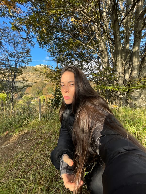 Dog owner enjoys evening outing in Ushuaia countryside