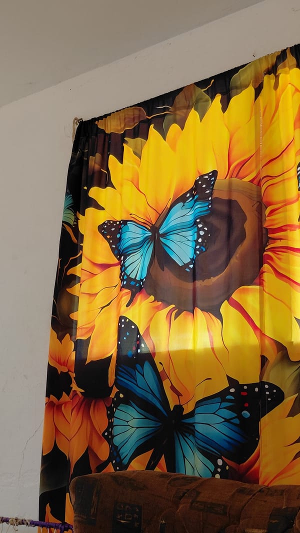 Snapshots from inside a quirky, lived-in home