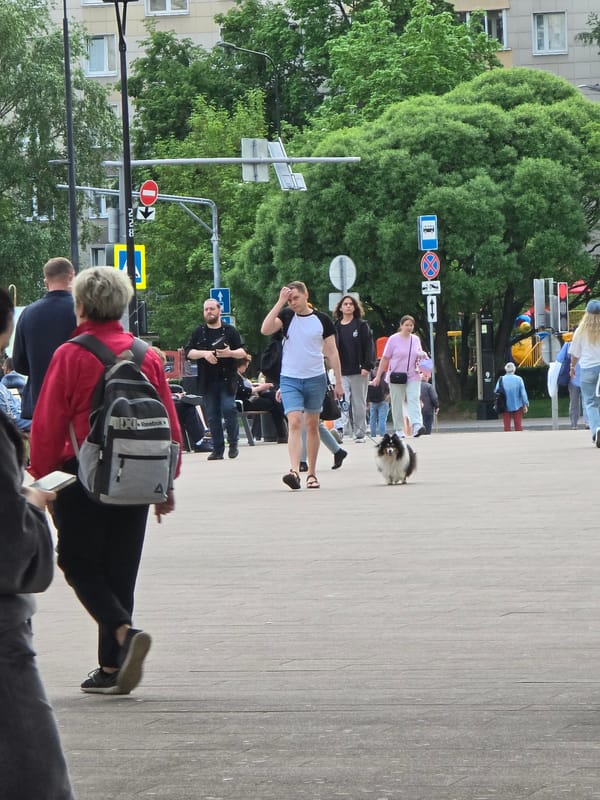 Child in stroller observed in Khimki pedestrian area