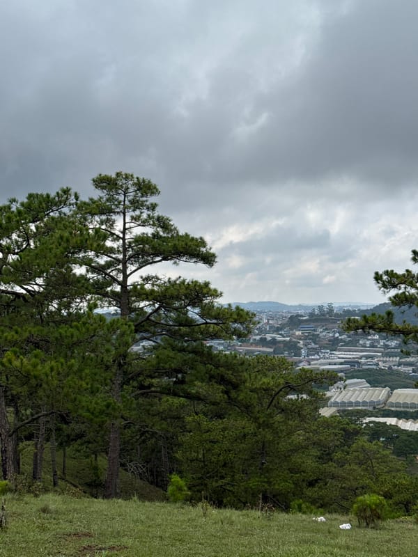 Highland landscape documented across pine hills in Lạc Dương