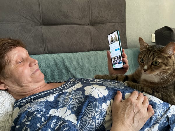Woman and tabby cat share quiet afternoon smartphone time