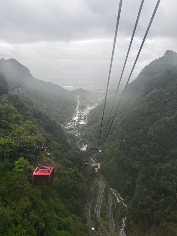 Cable car operates through misty Zhangjiajie forest landscape