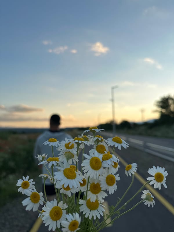Roadside scene with daisies and pedestrians documented by witness