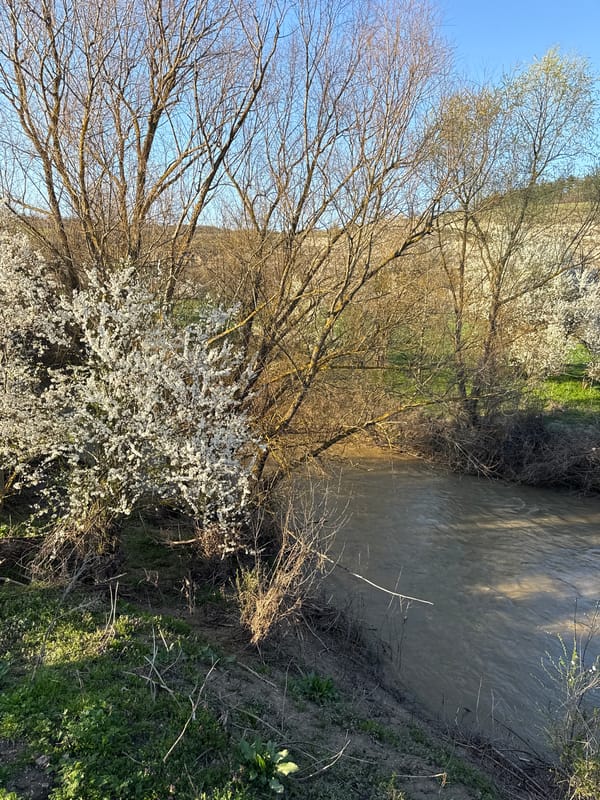 Rural countryside scenes documented near Ostritsa, Bulgaria