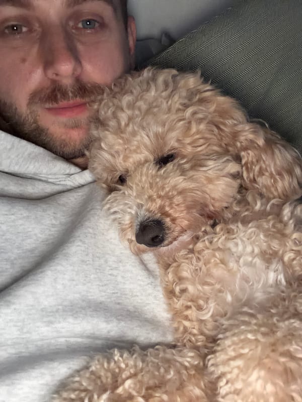 Man rests with poodle on chest in London home